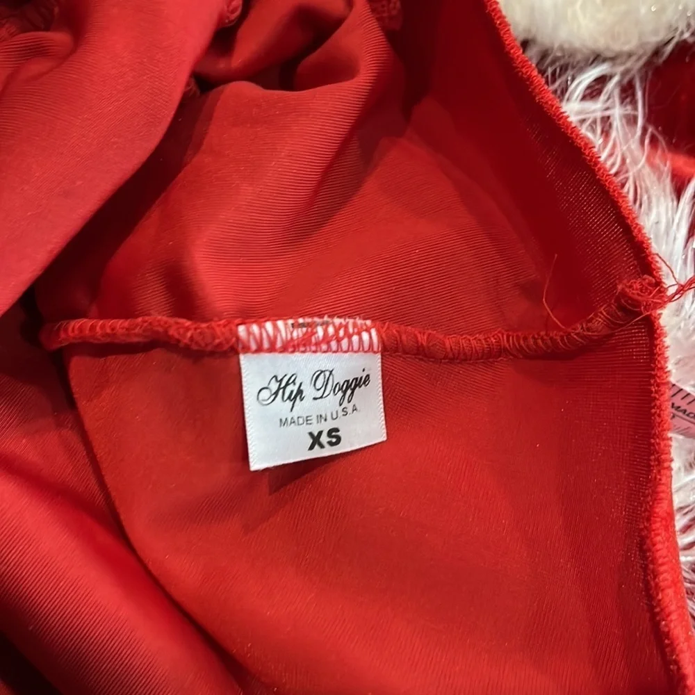 hip doggie christmas dress