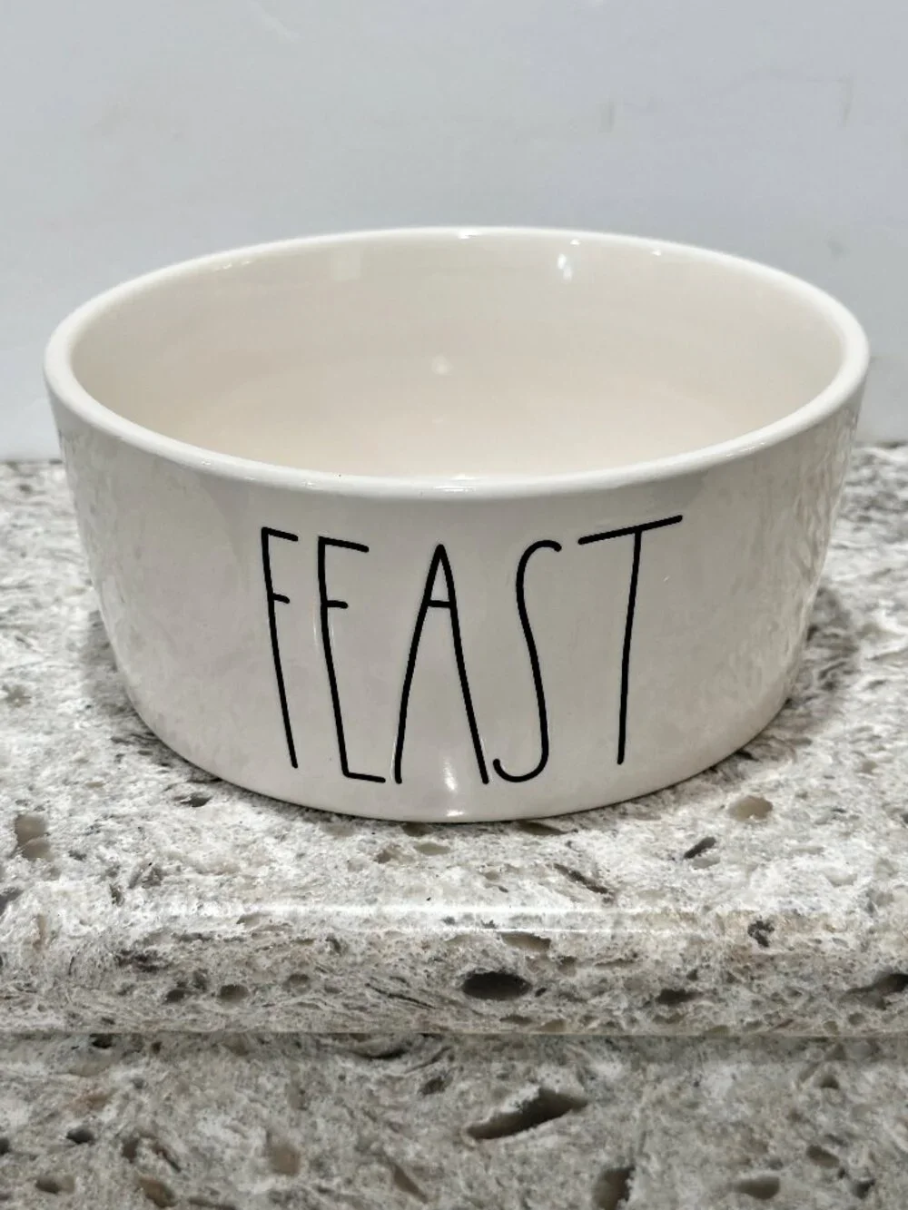 Rae Dunn by Magenta FEAST Dog Pet Food Water Bowl Artisan Collection 8 Inch XL