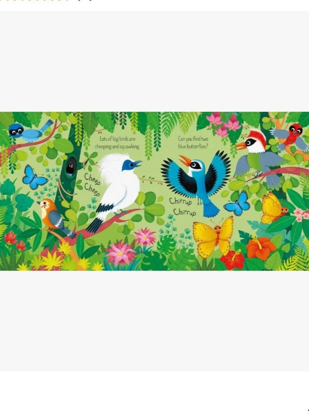 usborne new zoo
