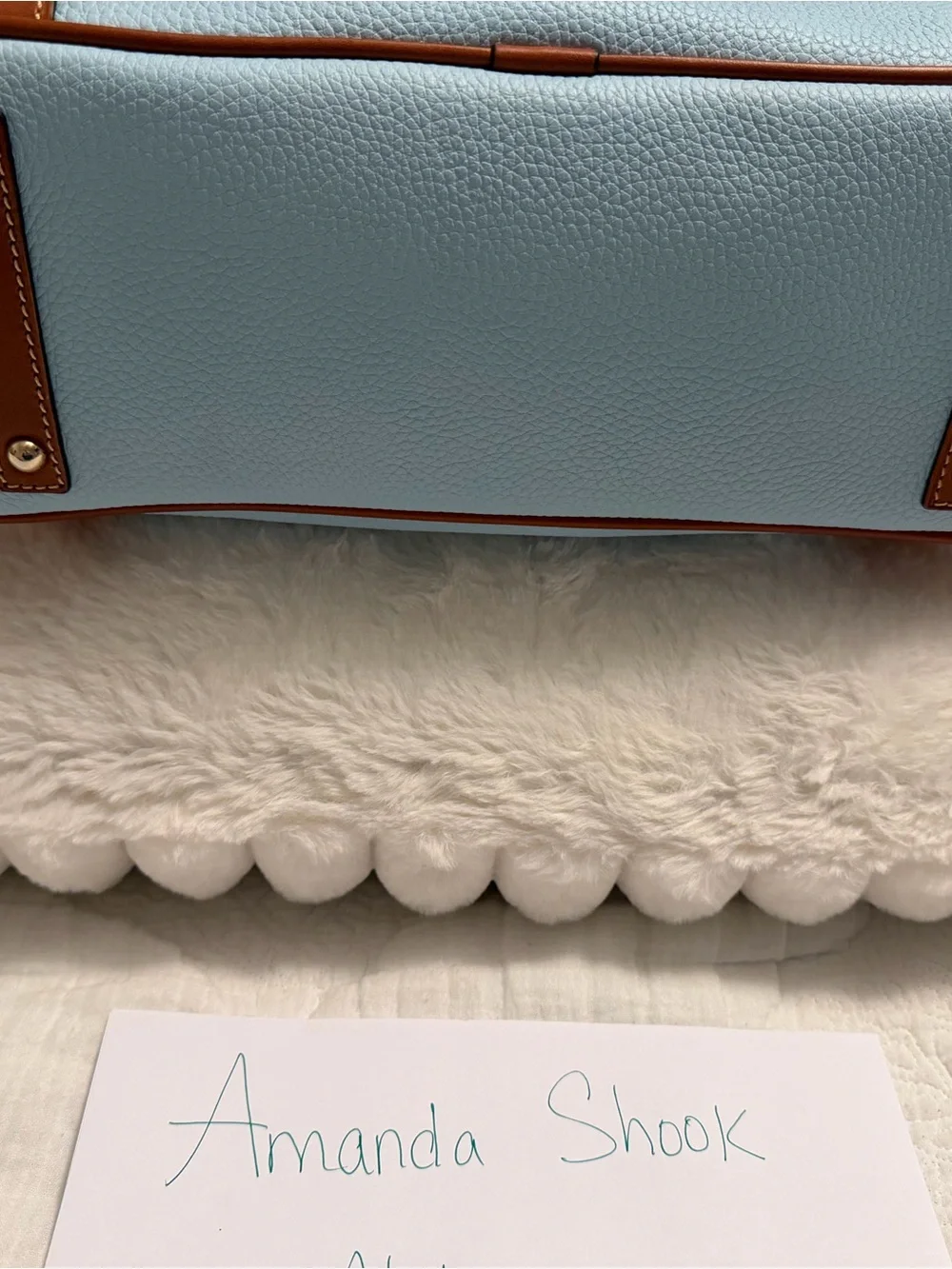 Dooney & Bourke Pale Blue Leather Hobo with Brown Trim