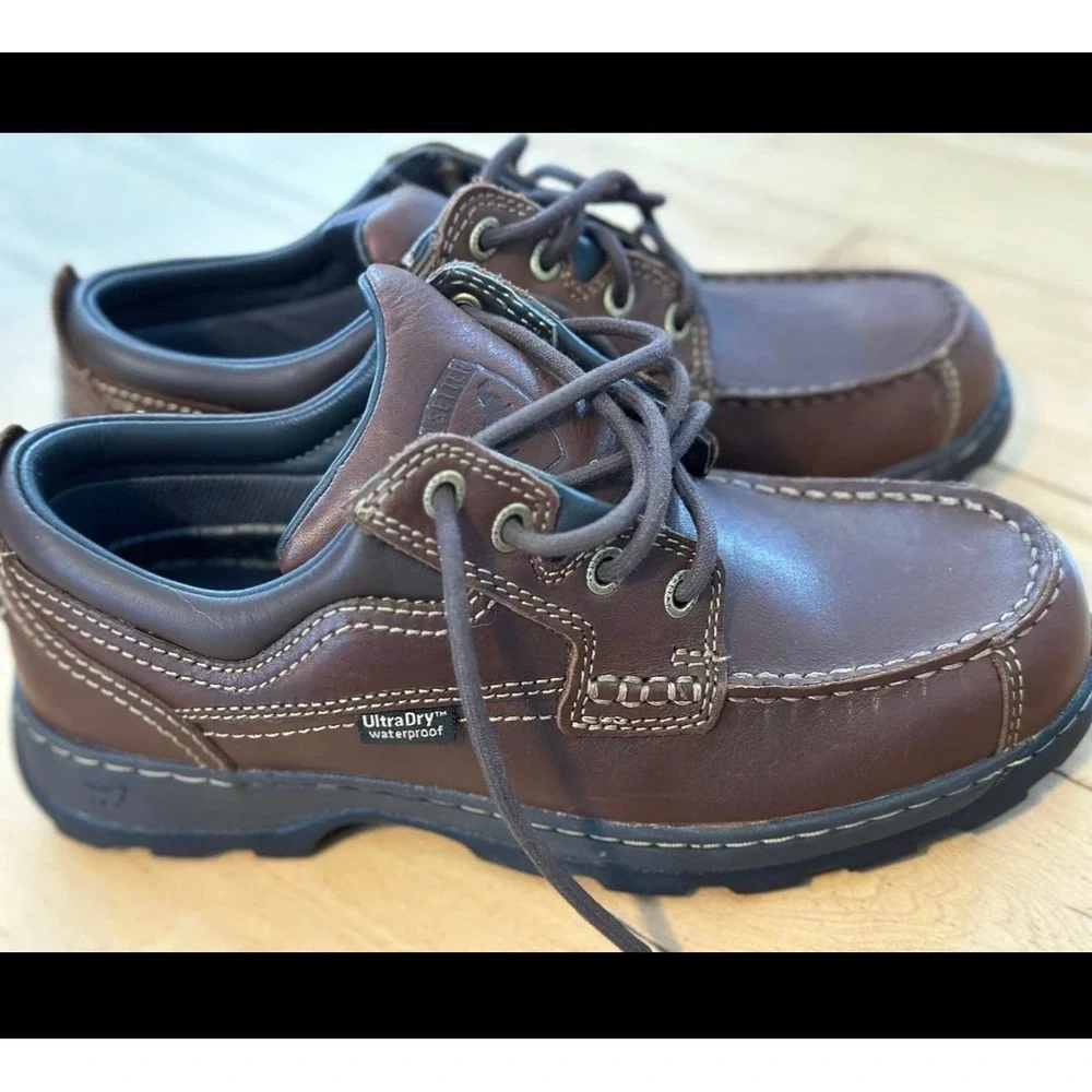 Irish Setter new without