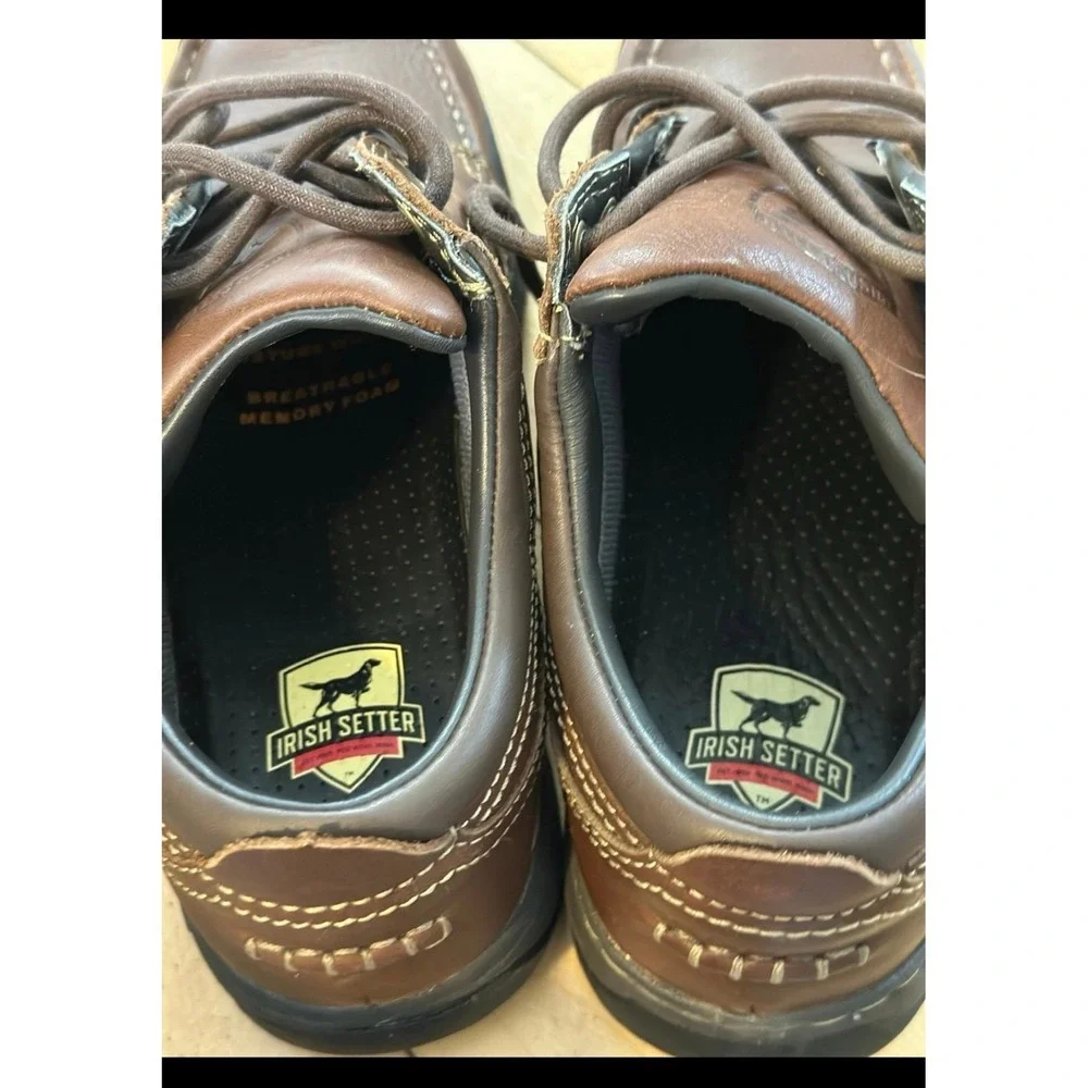 Irish Setter new without