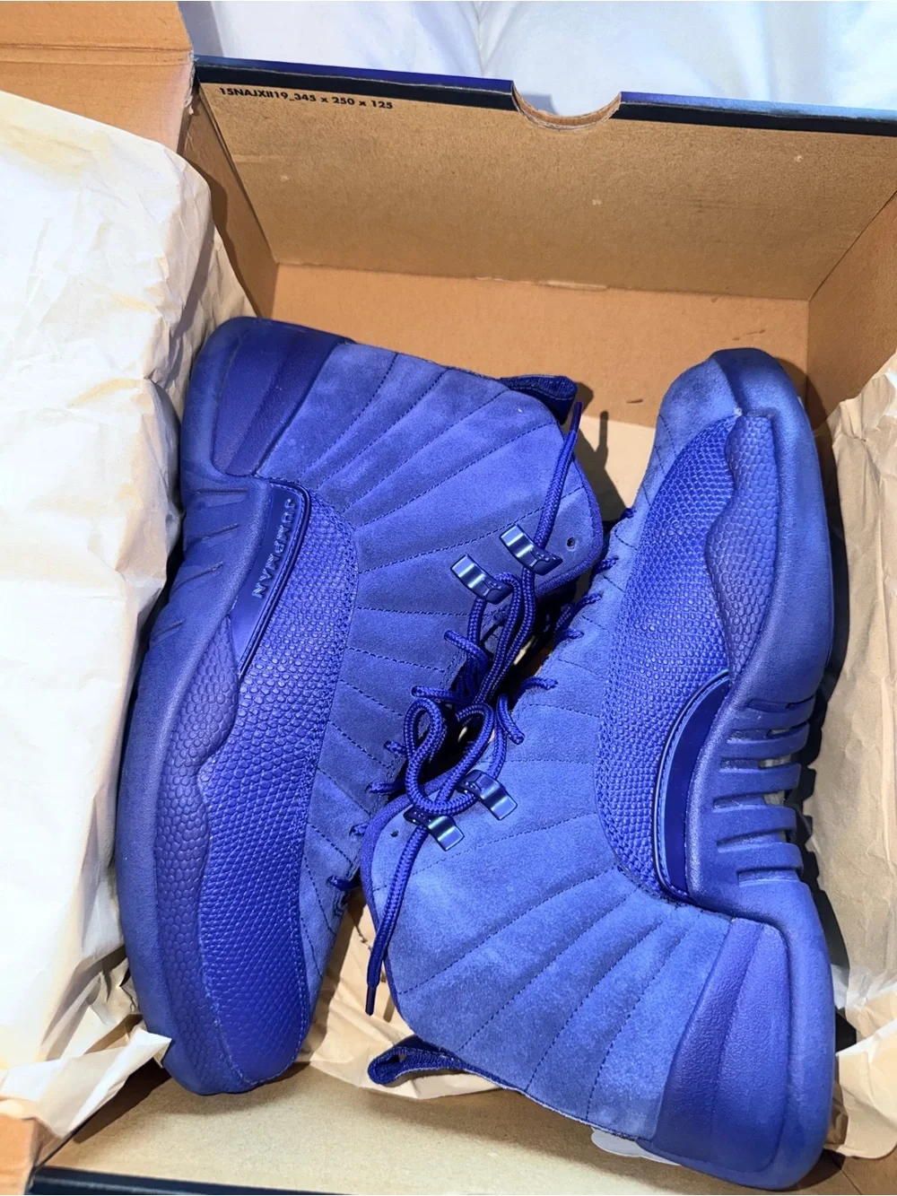 Jordan air 12