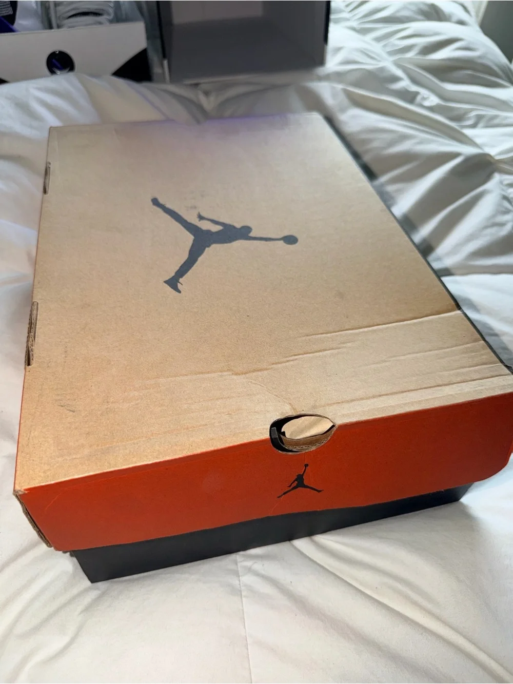 Jordan air 12