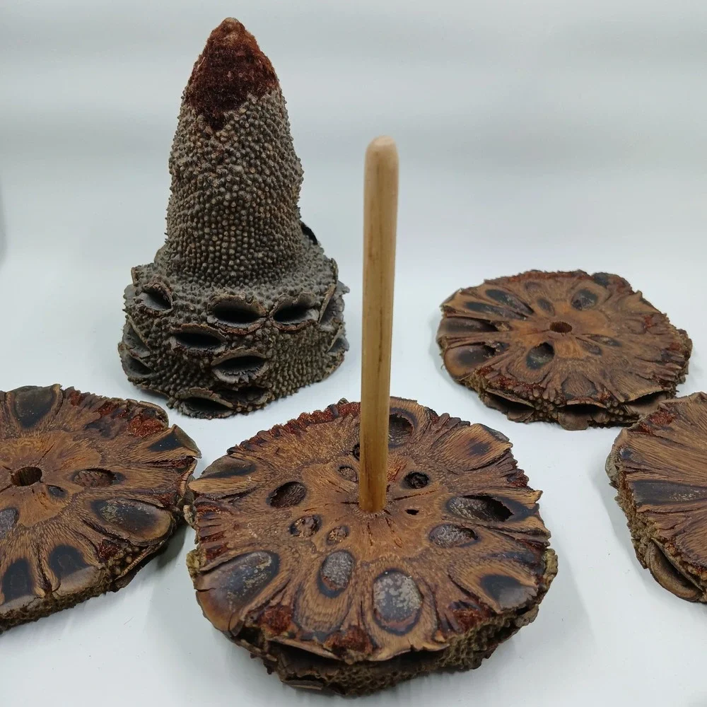 The Unbranded Brand coasters banksia