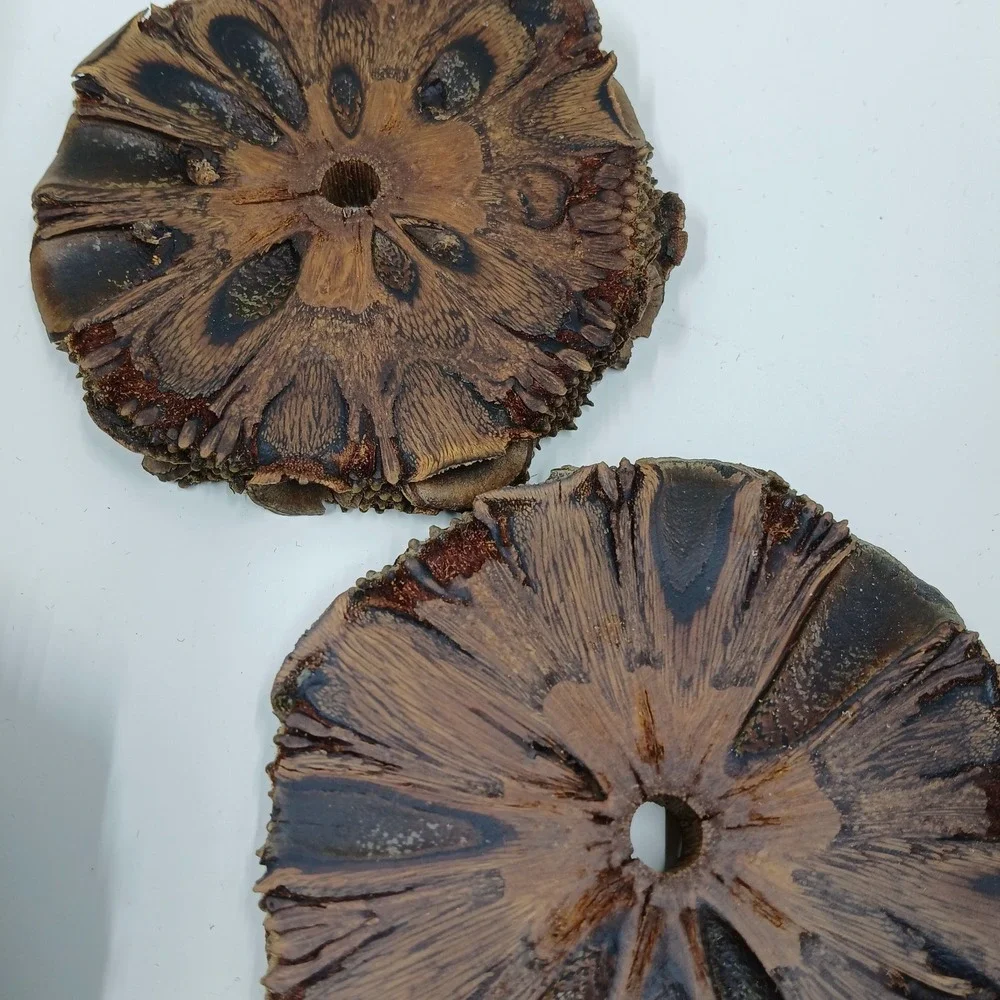 The Unbranded Brand coasters banksia