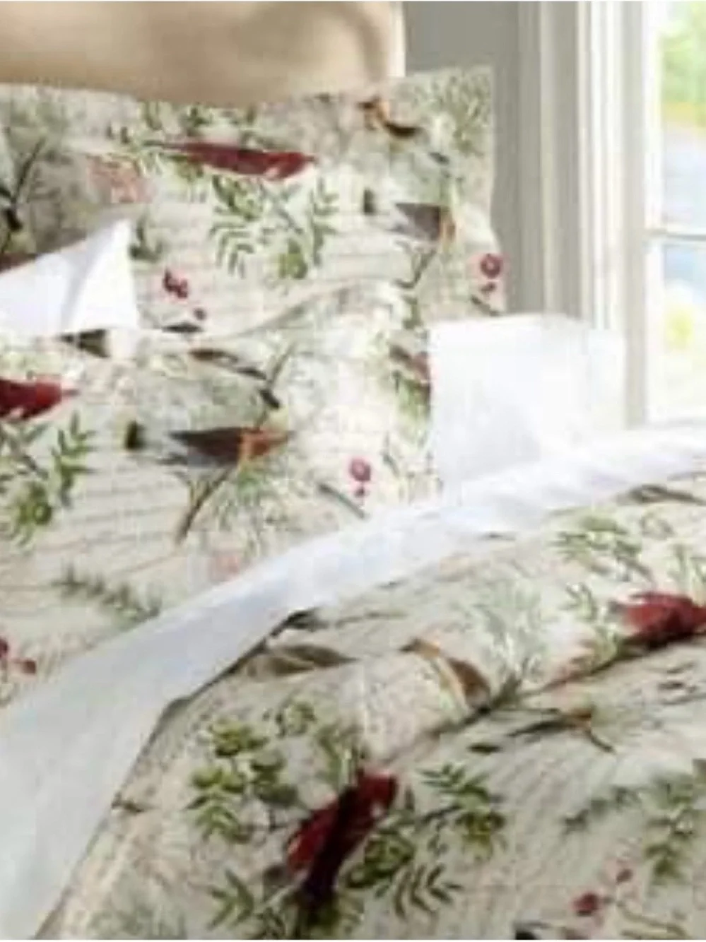 Pottery Barn Winter Birds Holiday Queen Duvet with (2) Standard & (2) Euro Shams