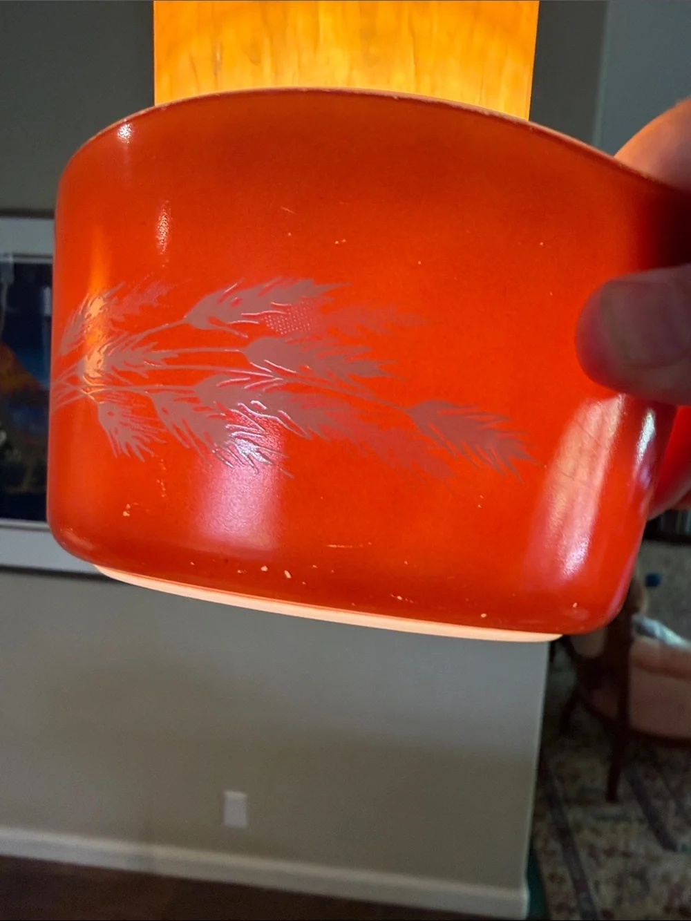 Pyrex vintage autumn