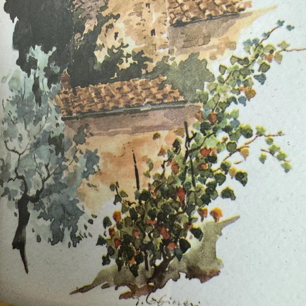 N/A frame victorian watercolor