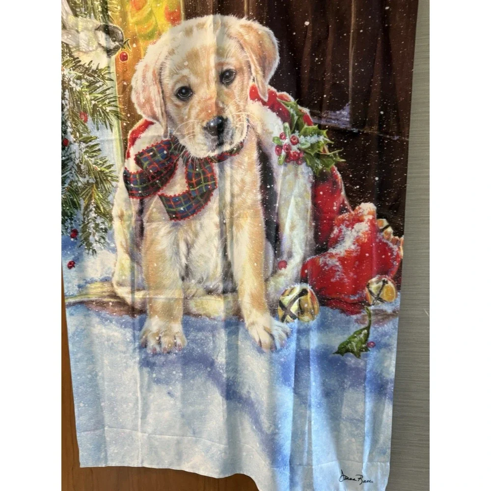 Evergreen product winter