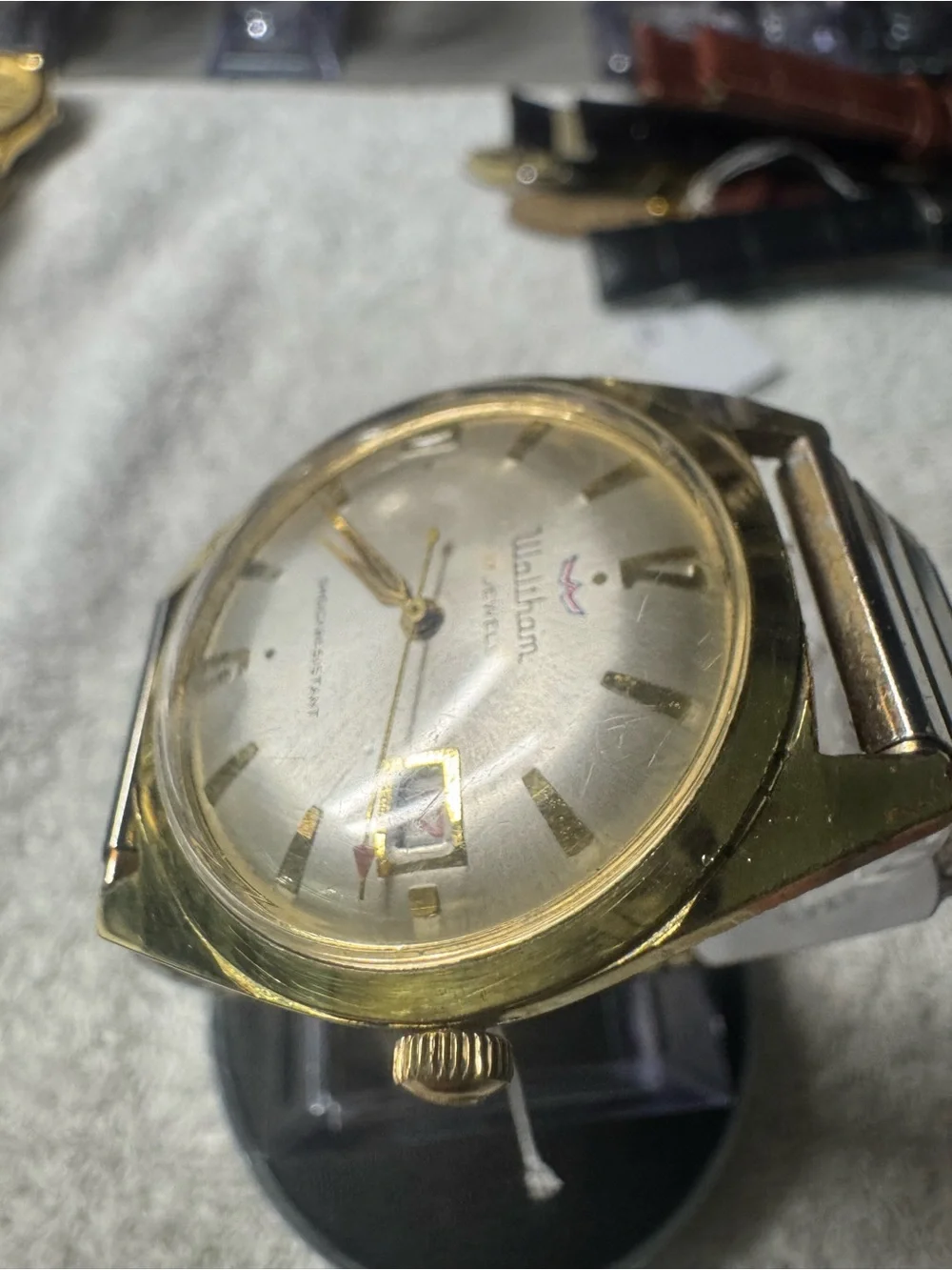 Waltham classic men