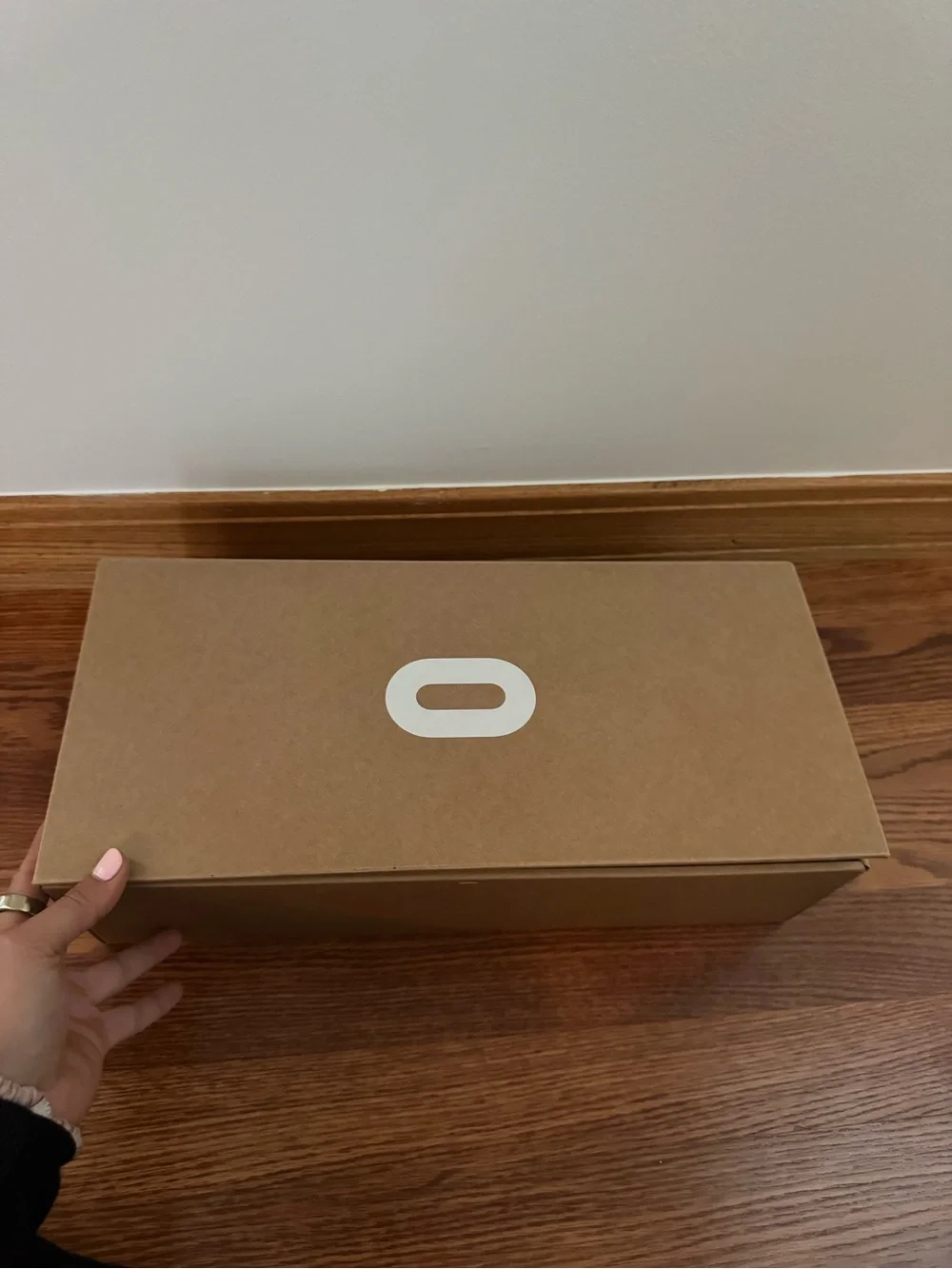Oculus standalone vr