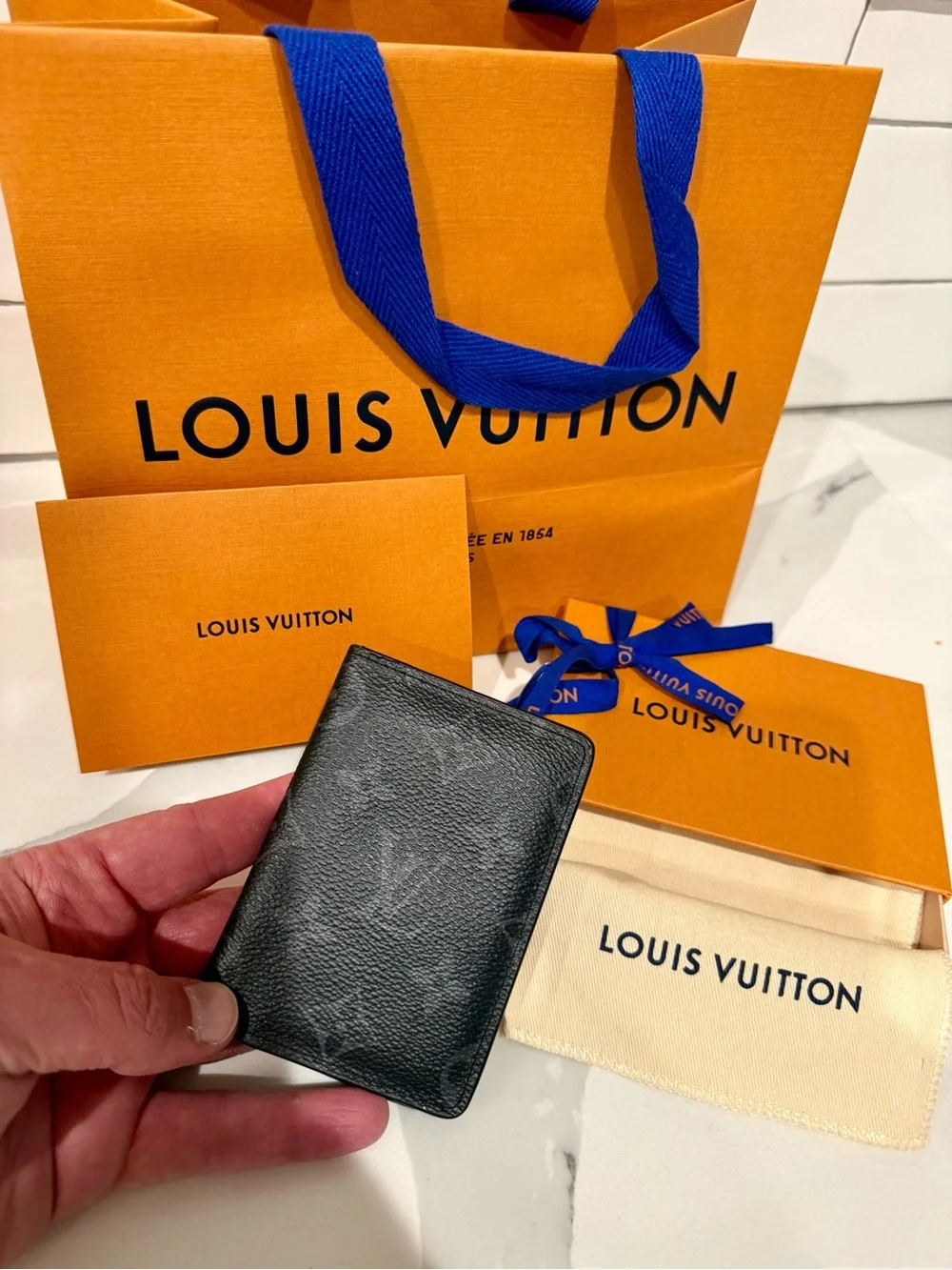 Louis Vuitton bag visible canvas