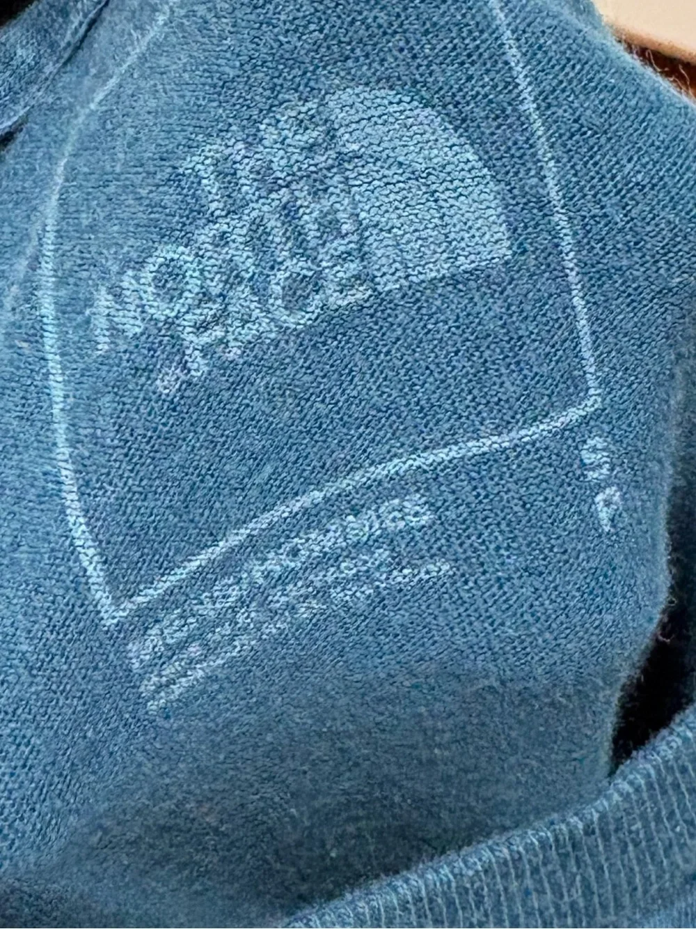The North Face soft teal