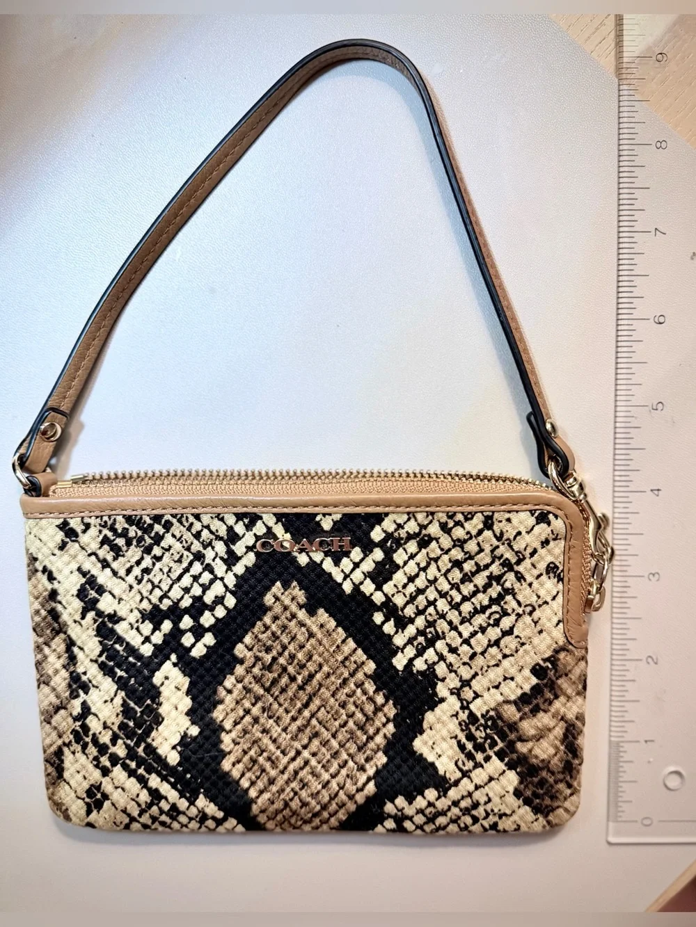 Coach snake print