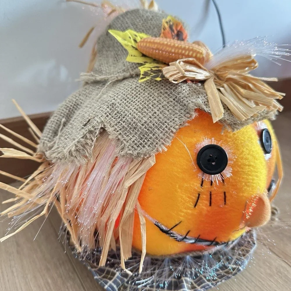 VTG Pumpkin‎ Hollow Fiber Optic Scarecrow Head In Box 10