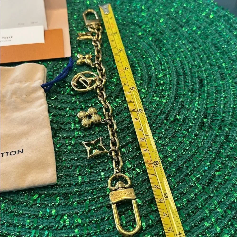 Louis Vuitton this accessory