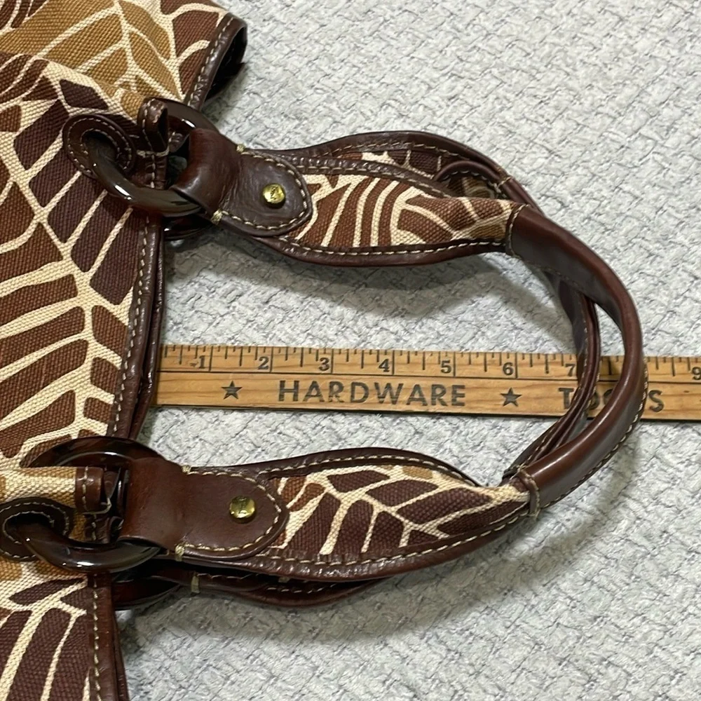 Fossil tropical leaf