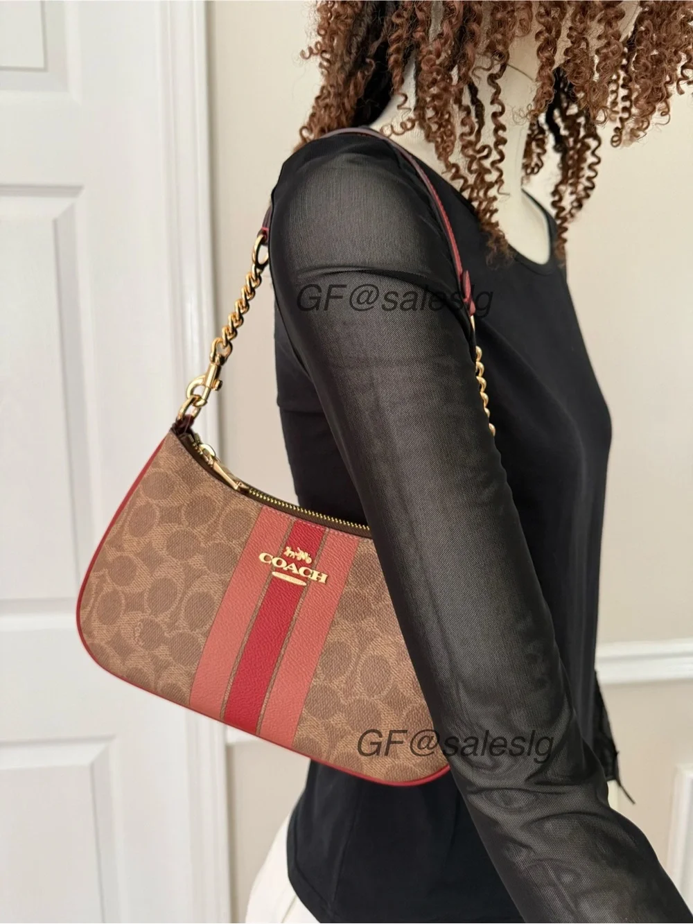 Coach classic signature