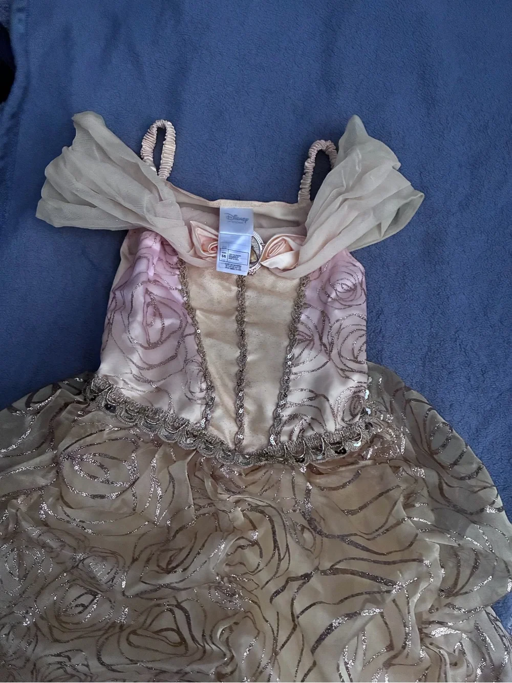 Disney shimmery princess