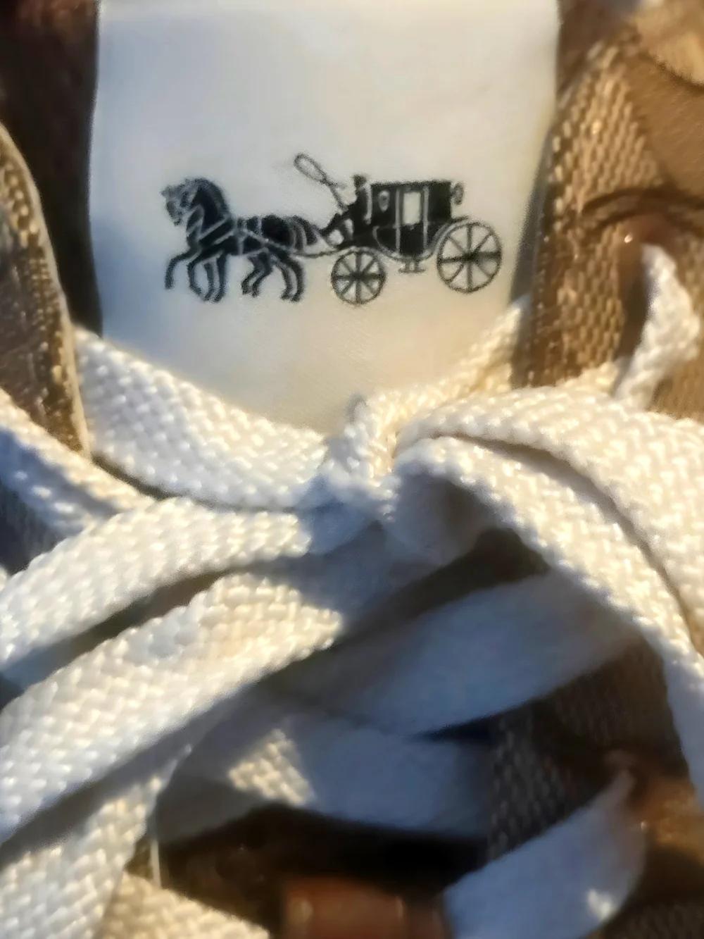 Coach classic clip