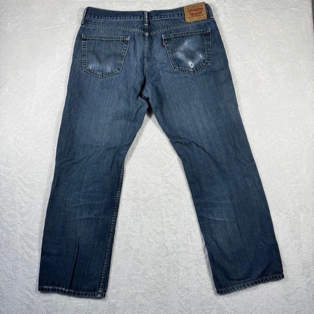 Levis levis 559