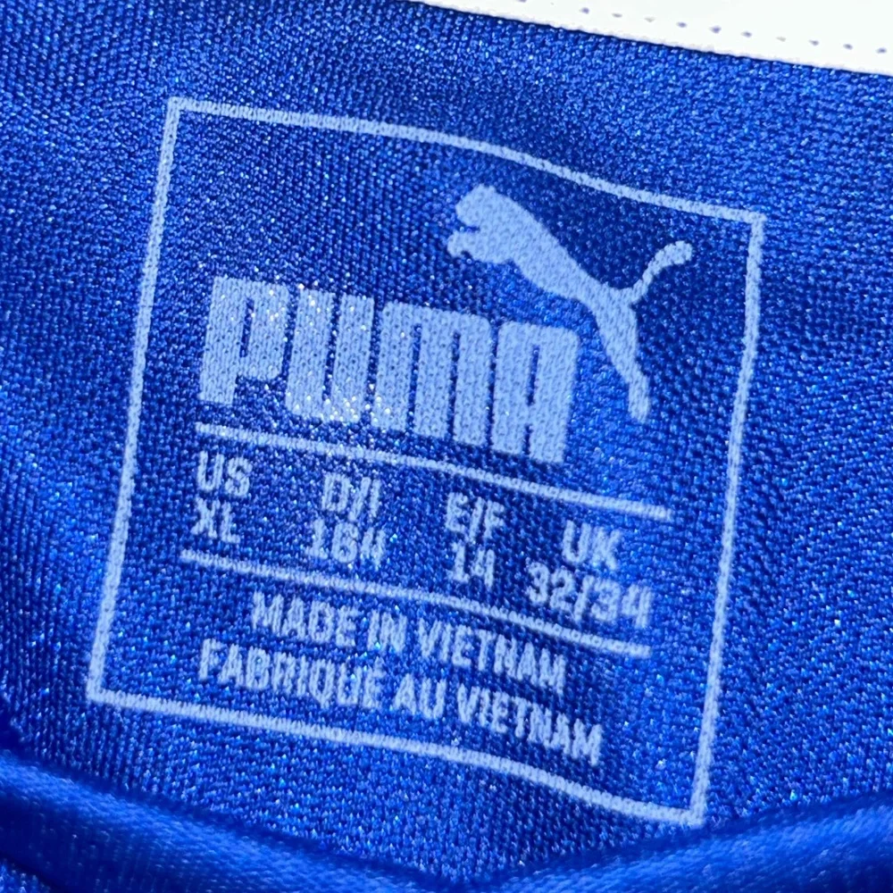 Puma dynamic royal