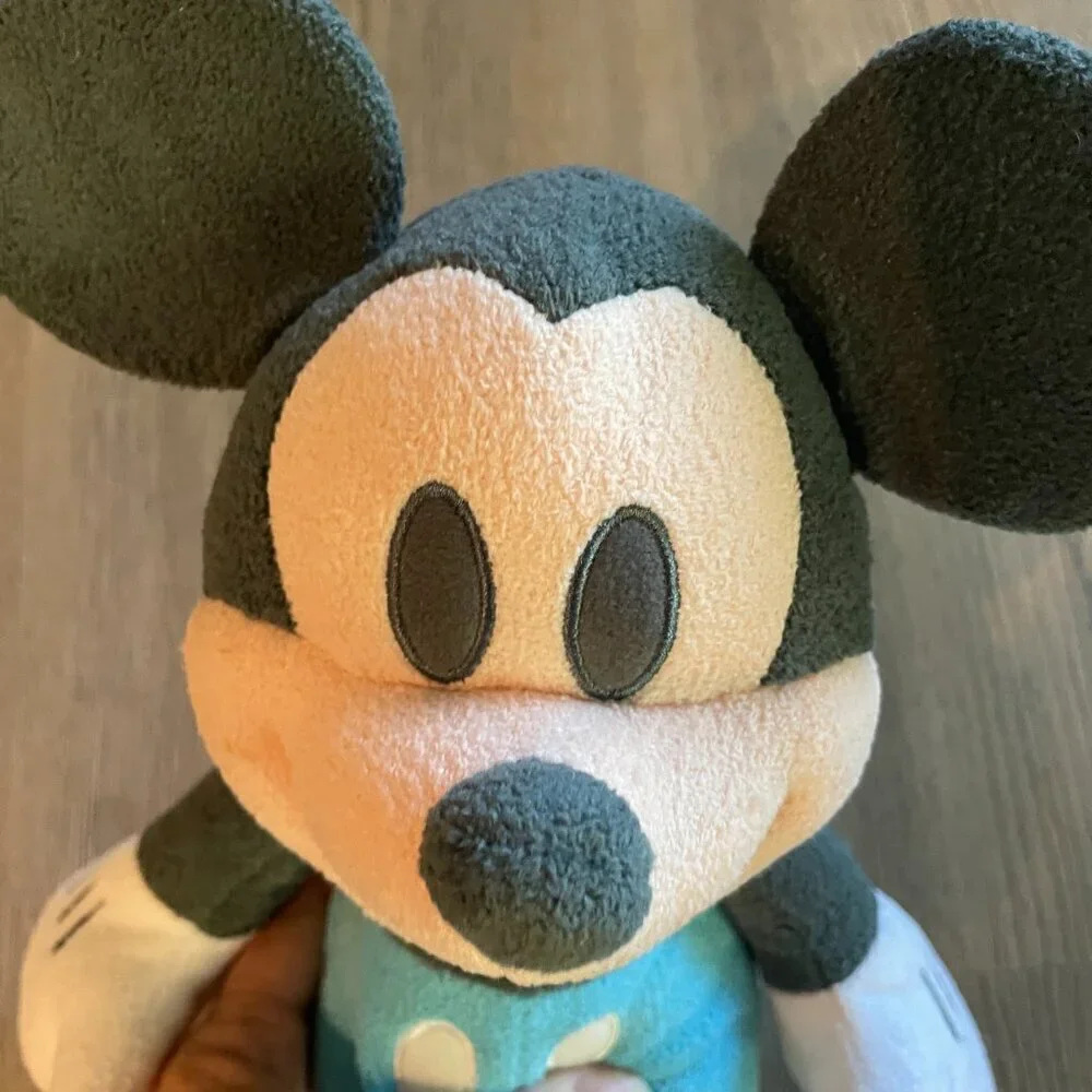 Disney parks my