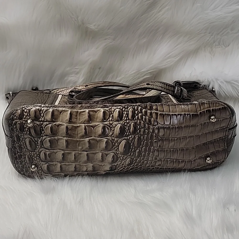 Brahmin mini asher