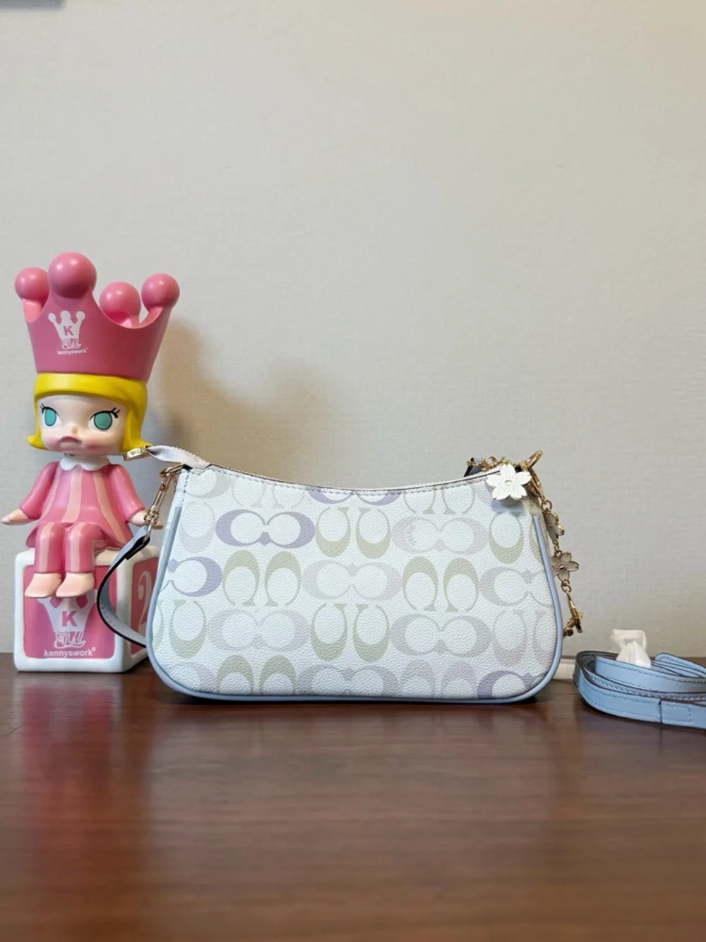 Coach includes adjustable
