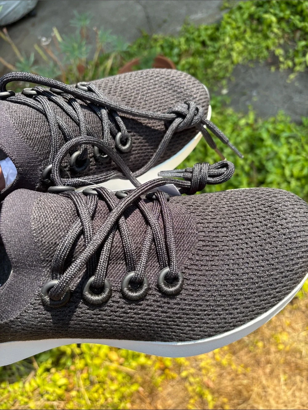 allbirds dasher men’s