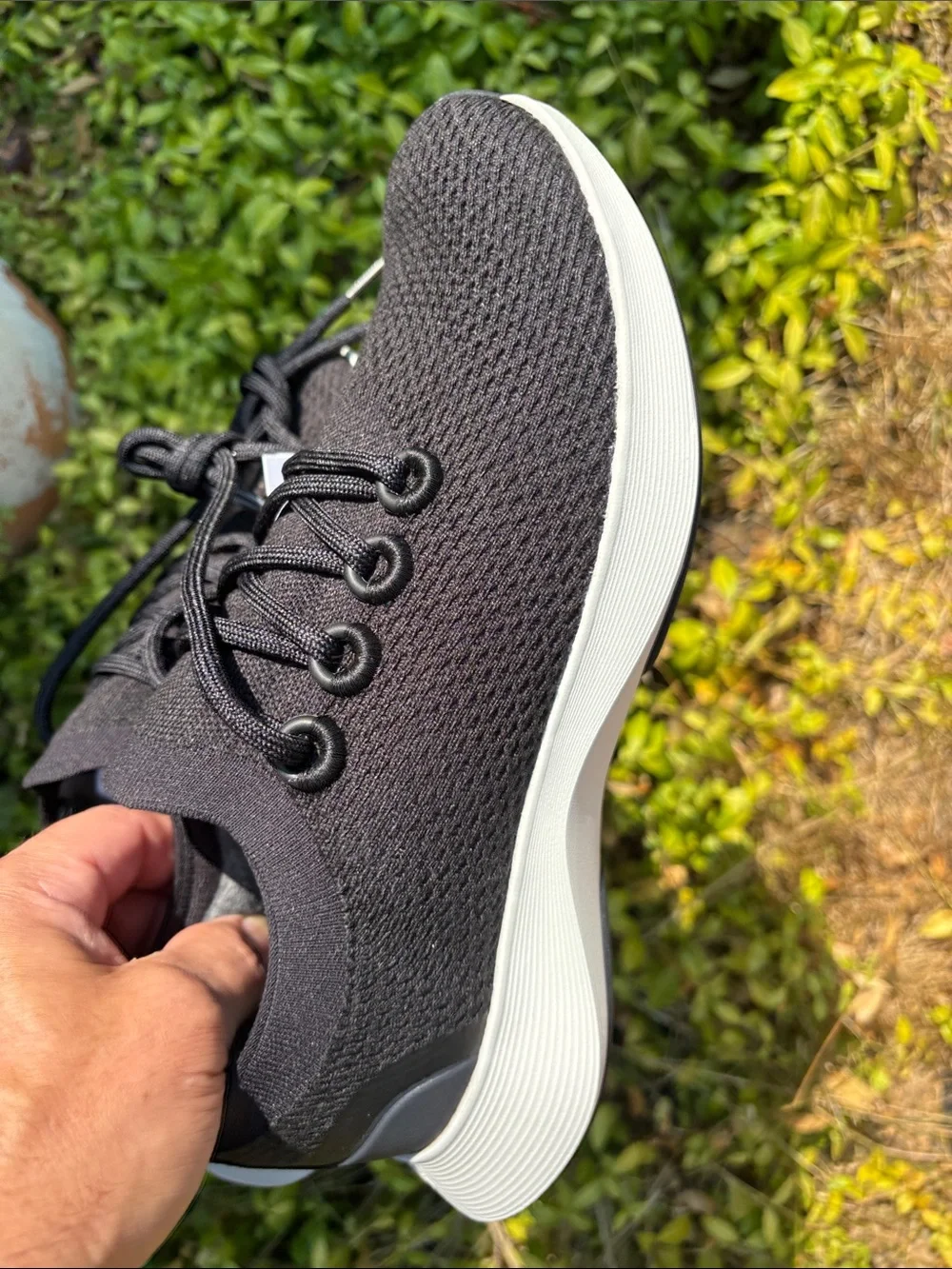 allbirds dasher men’s