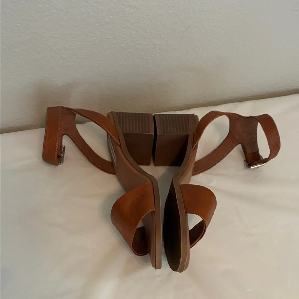 Steve Madden brown or
