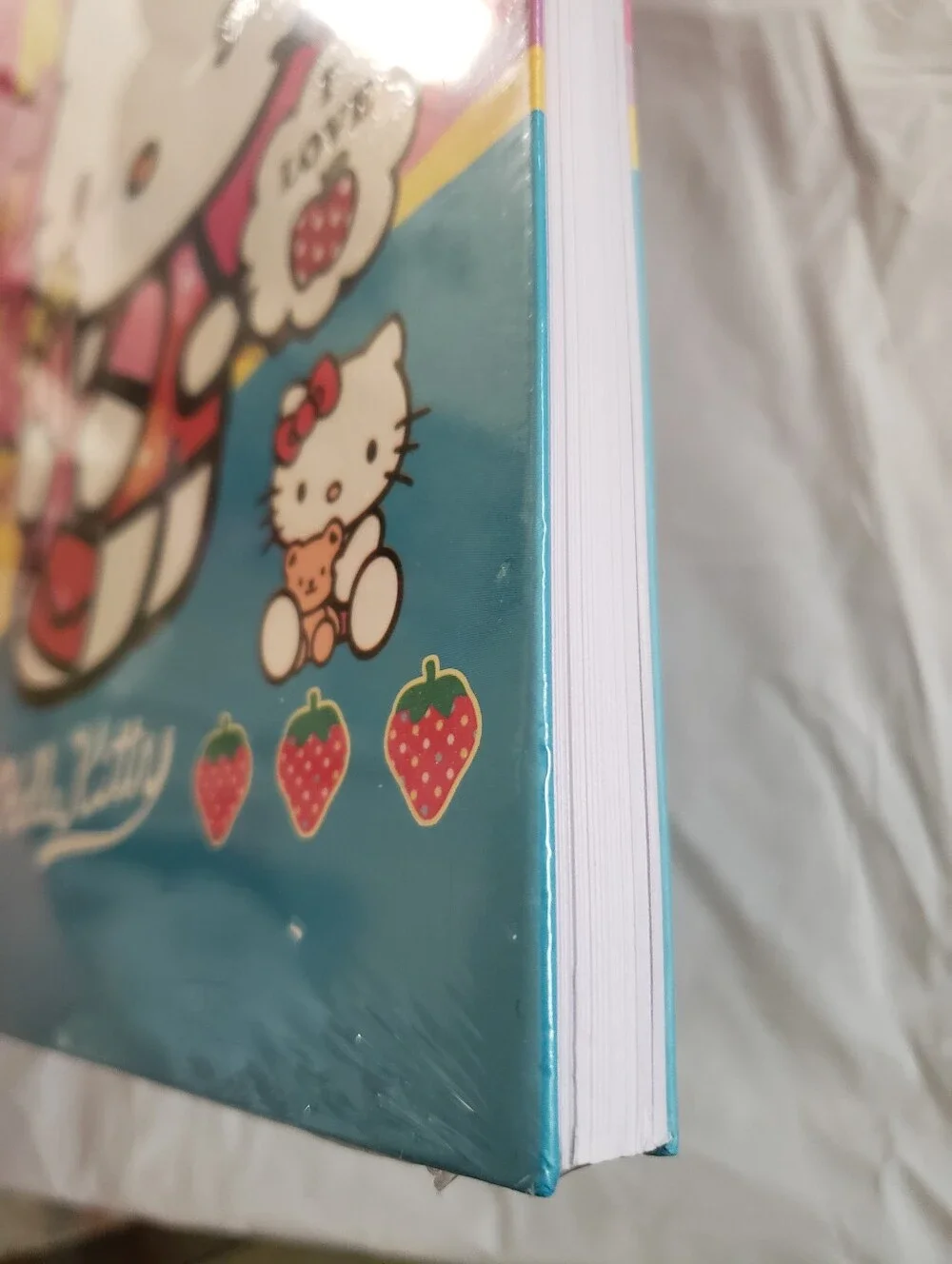 Sanrio a4 size