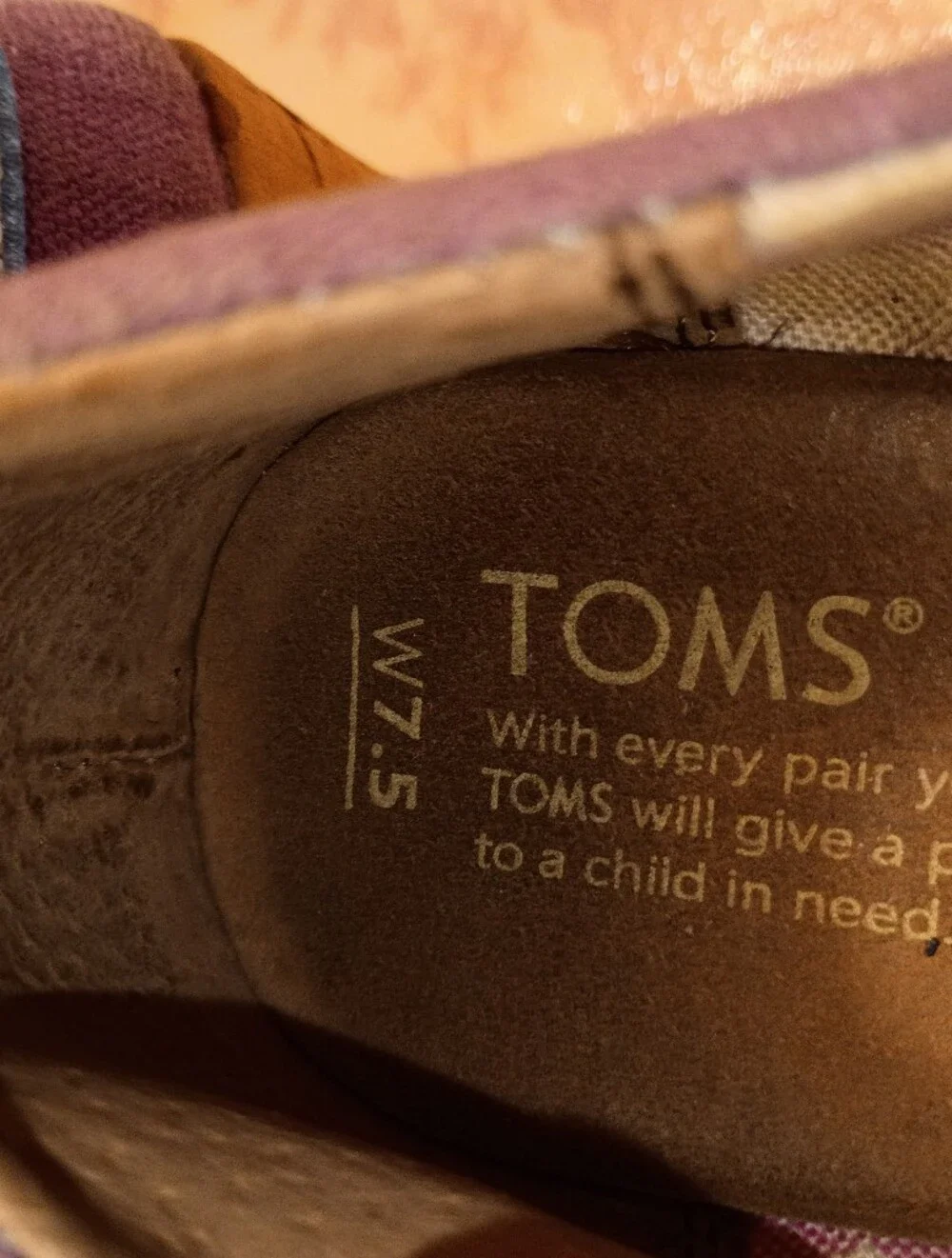 Toms lavender canvas