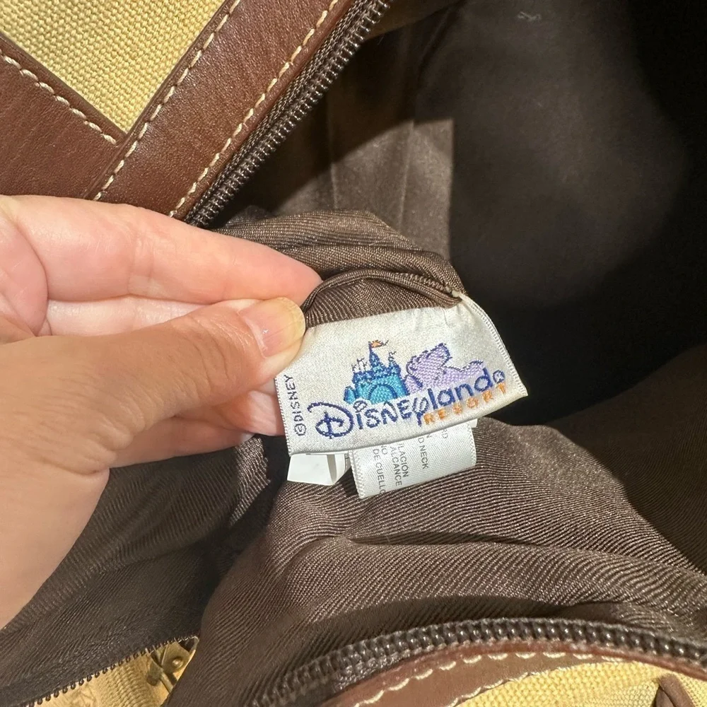 disneyland beautiful minor