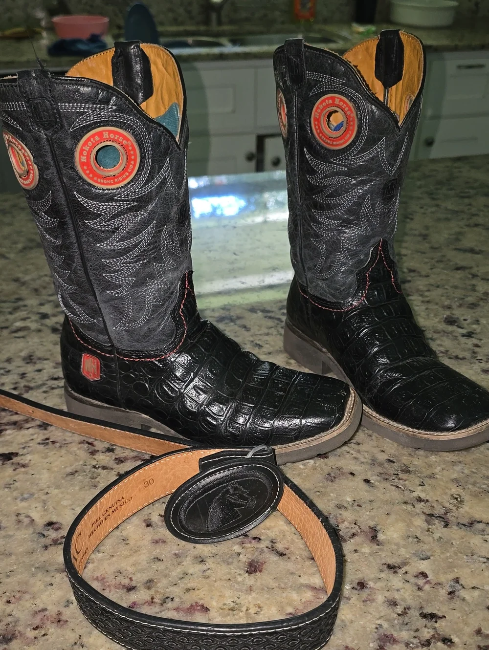 Nokota Horse stylish black