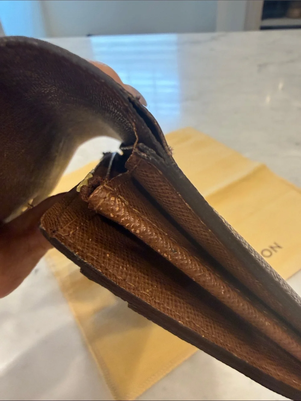 Louis Vuitton elegant louis