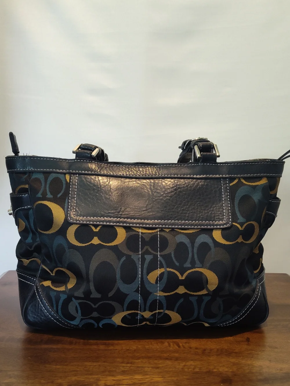 Coach shoulder bag