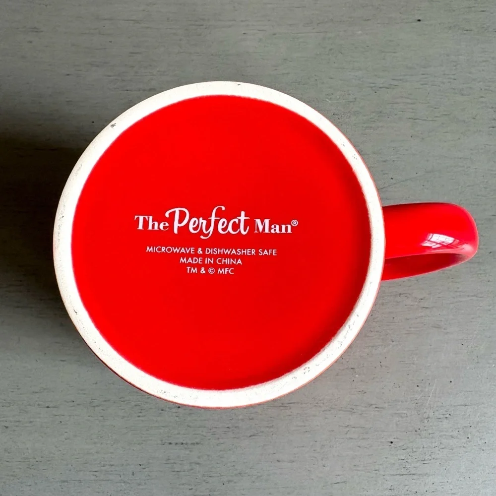 The Perfect Man naughty nice