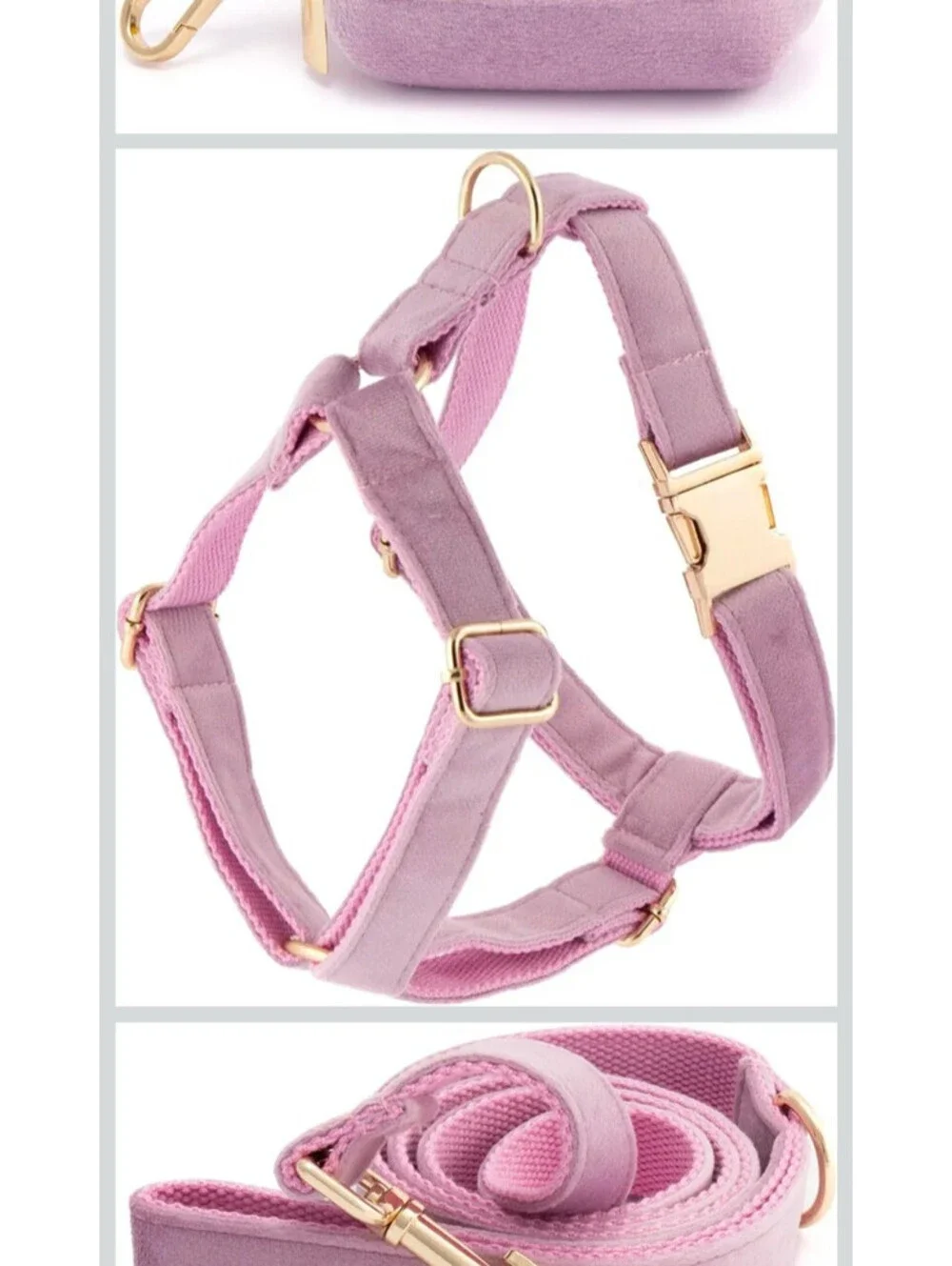 N/A adjustable dog