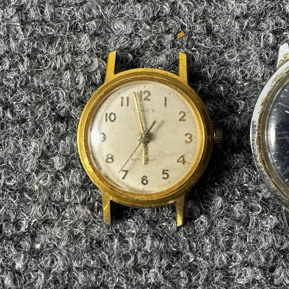 Timex this lot