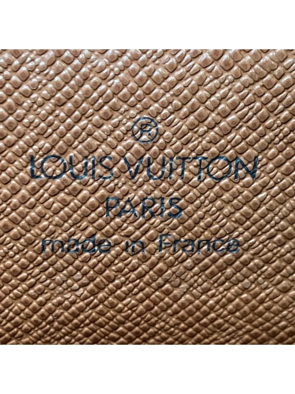Louis Vuitton brand louis