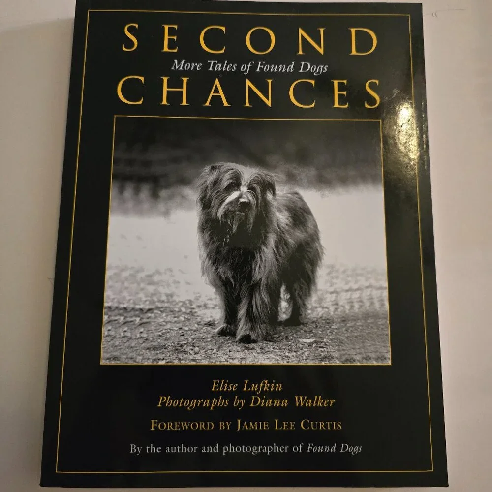 Second Chances: More Tales Of Found Dogs- New