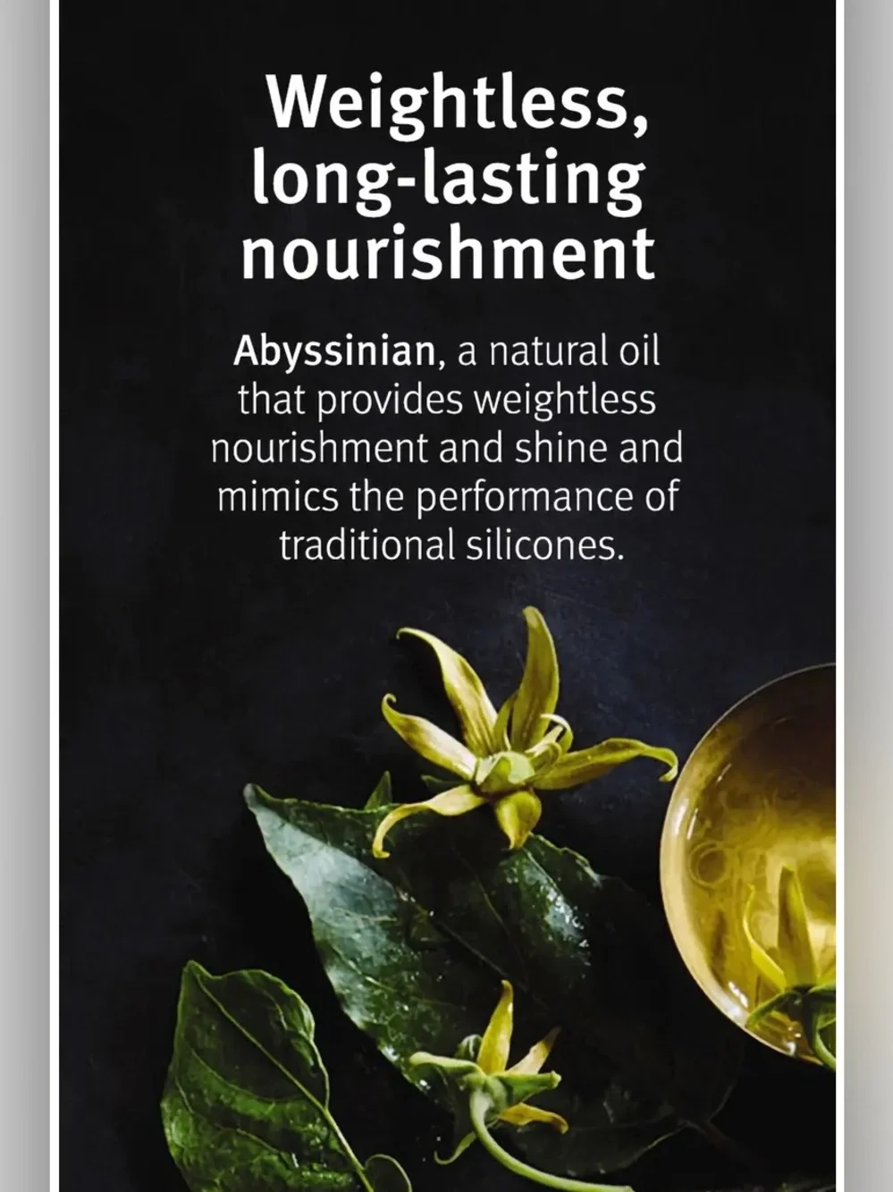AVEDA caressable skin