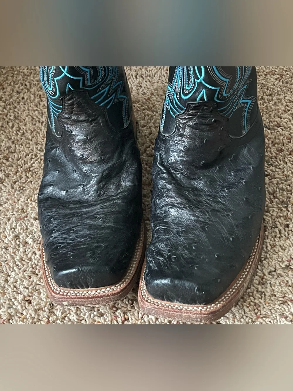 Ariat this pair