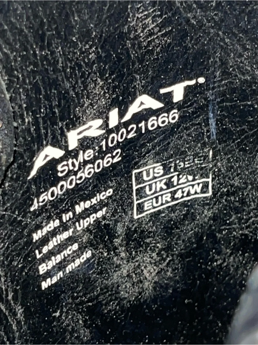 Ariat this pair