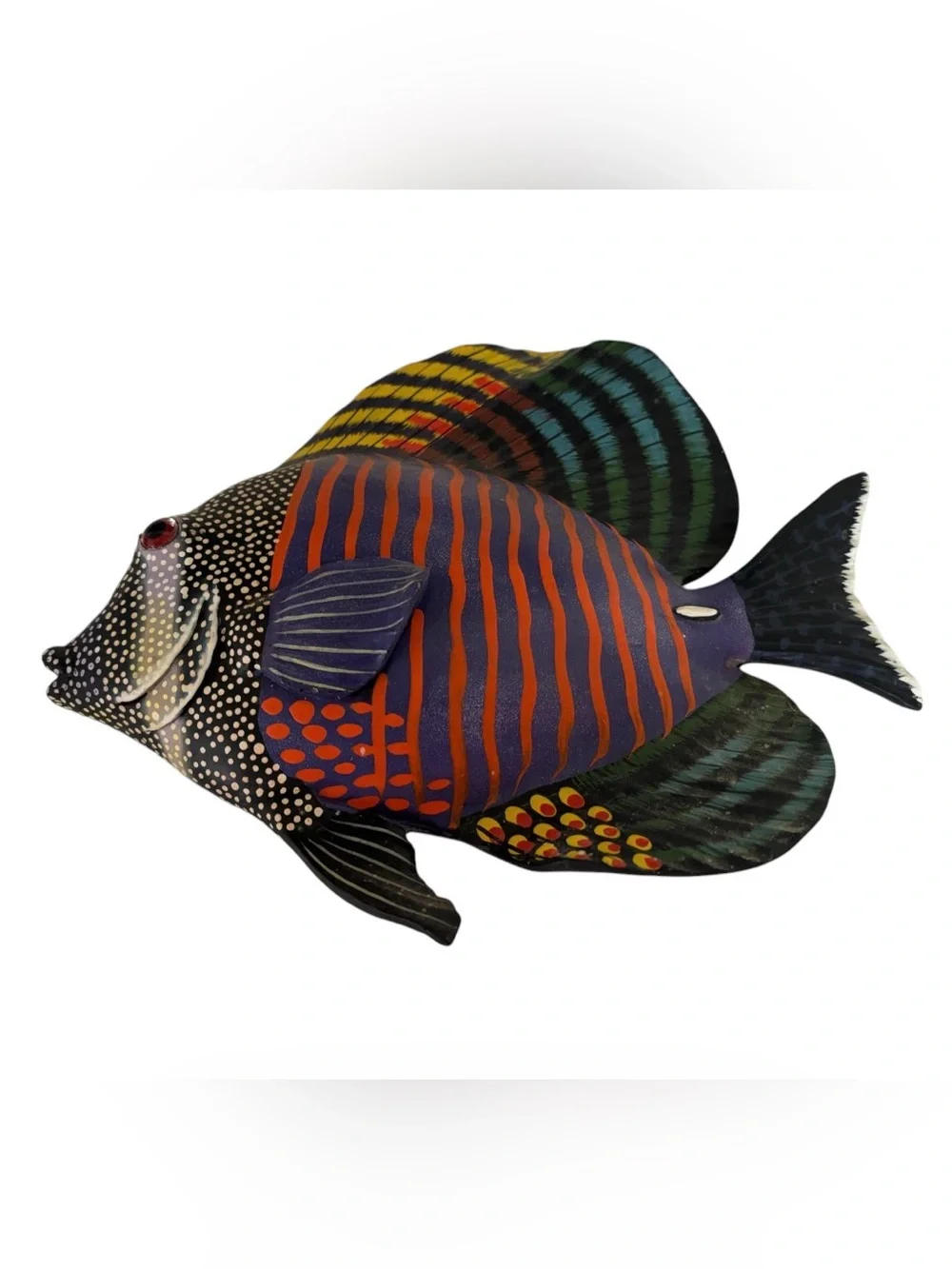 Sailfin Ting vibrant hand