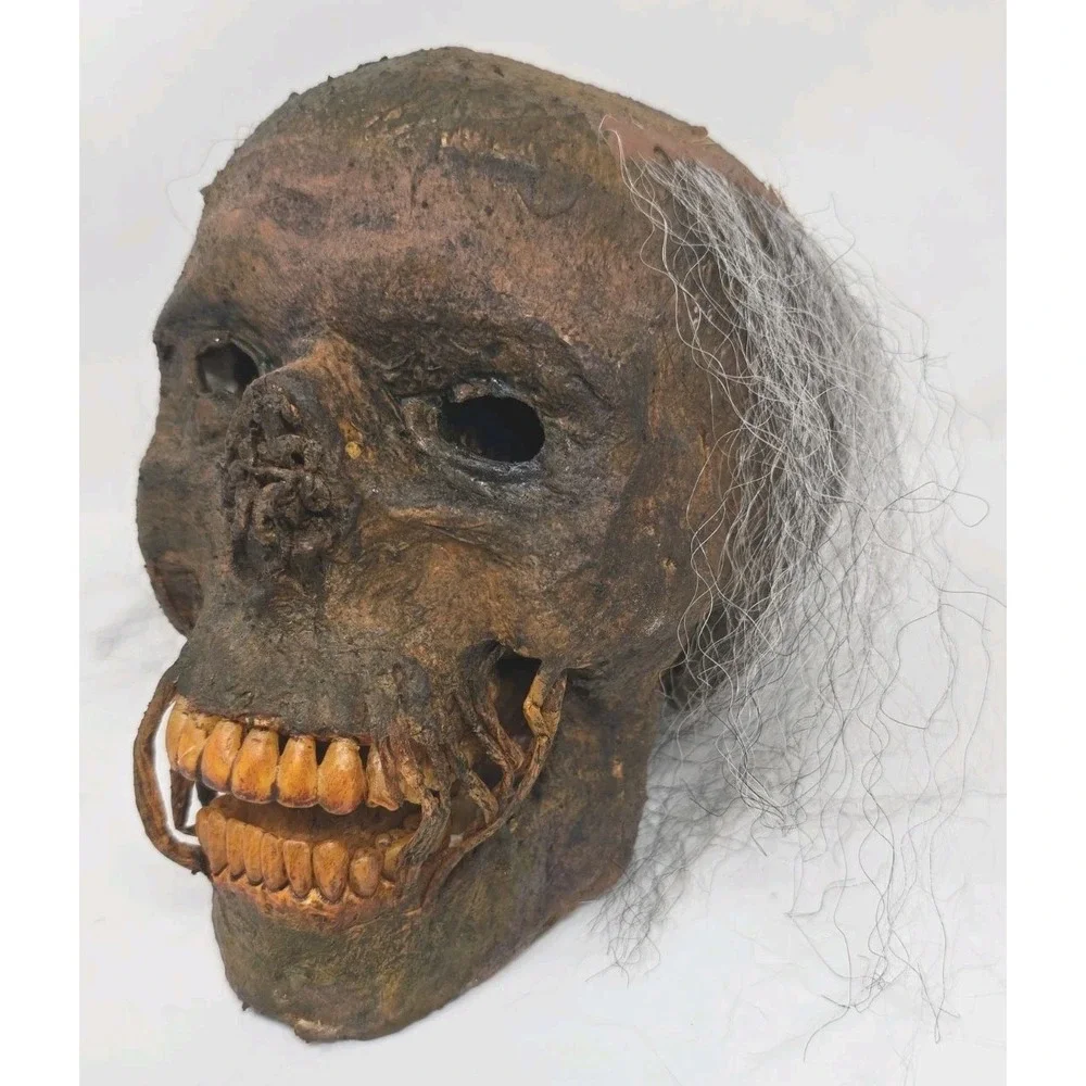 Life-Size Rotted Skull Prop Used Prop Skull Halloween Horror Haunted House U62