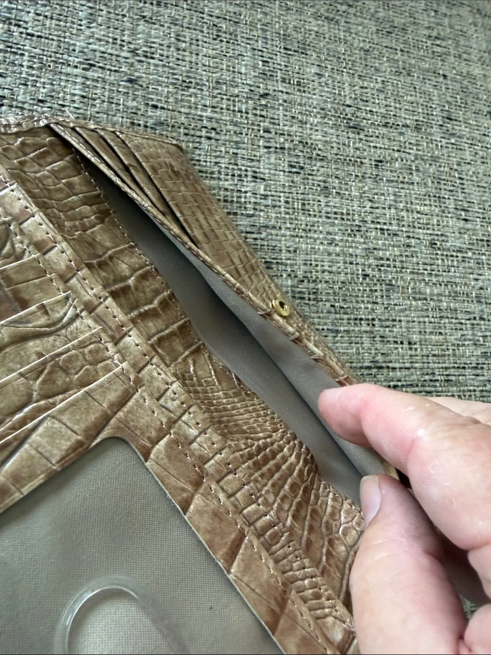 Brahmin gently used